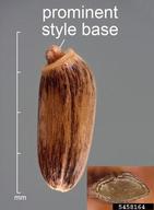 5458164