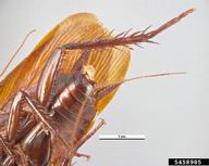 5458985