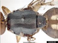 5459108
