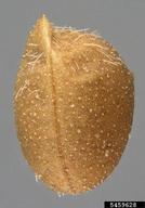 5459628