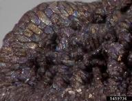 5459736