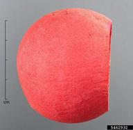 5462932