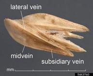 5463740