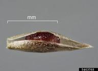 5463768
