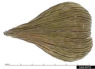 5463872