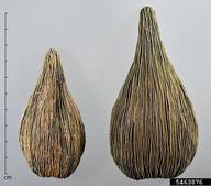 5463876