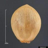 5466015