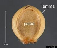5466016