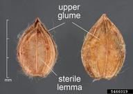 5466019