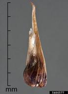 5466577