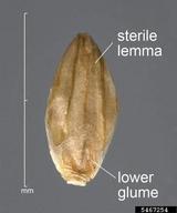 5467254