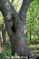 5468257