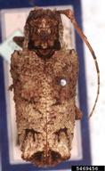 5469456