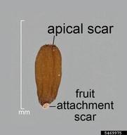 5469975
