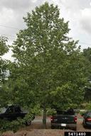 5471480