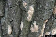 5471668