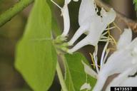 5473557
