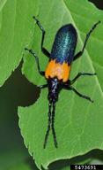 5473691