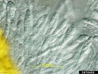 5476466
