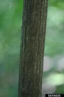 5476630