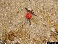5478145