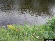 5479612