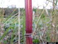 5480712