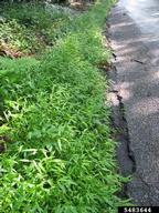 5483644