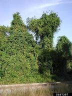 5487387