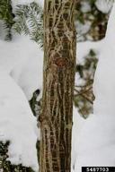 5487703