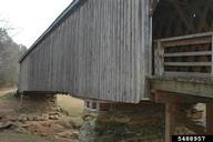 5488957