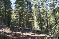 9003081