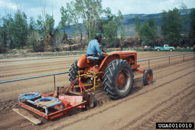 nursery operations,    - 0010010