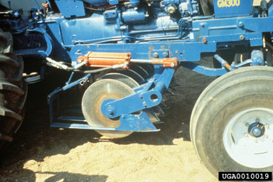 root pruning,    - 0010019