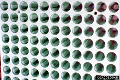 containers,    - 0010048