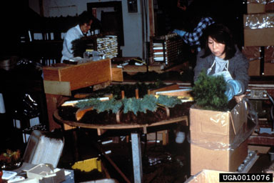 packaging,    - 0010076