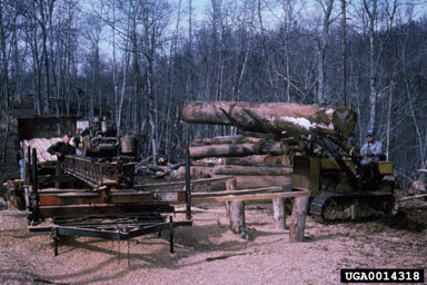 portable sawmill,    - 0014318