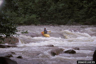 kayaking, canoeing, rafting,    - 0016235