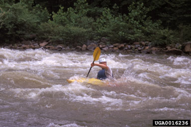 kayaking, canoeing, rafting,    - 0016236
