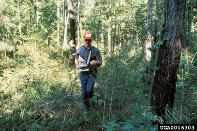 herbicides (general),    (General herbicides: General Herbicides) - 0016303