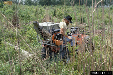 herbicides (general),    (General herbicides: General Herbicides) - 0016305
