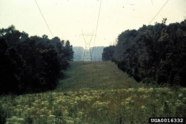 right-of-way,    - 0016332