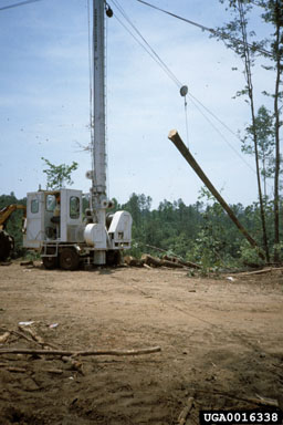 harvesting,    - 0016338