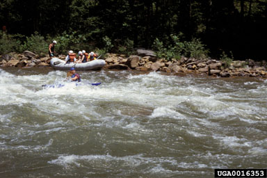 kayaking, canoeing, rafting,    - 0016353