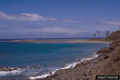 coasts and oceans,    (Marine biomes: Miscellaneous Coasts and Oceans) - 0756058