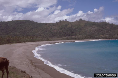 coasts and oceans,    (Marine biomes: Miscellaneous Coasts and Oceans) - 0756059