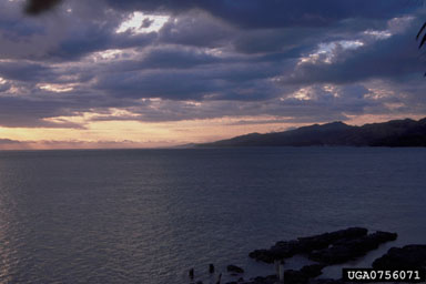 sunsets,    (Terrestrial weather: Other natural phenomena) - 0756071