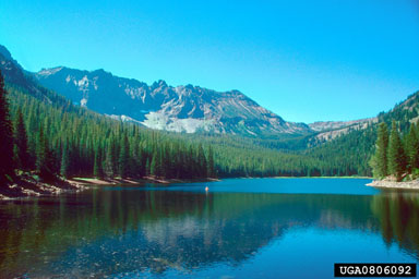 Oregon,    - 0806092