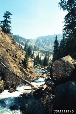 rivers and streams,    (Freshwater biomes: Miscellaneous Rivers and Streams) - 1118245
