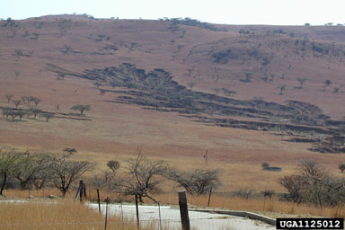 soil & water,    - 1125012